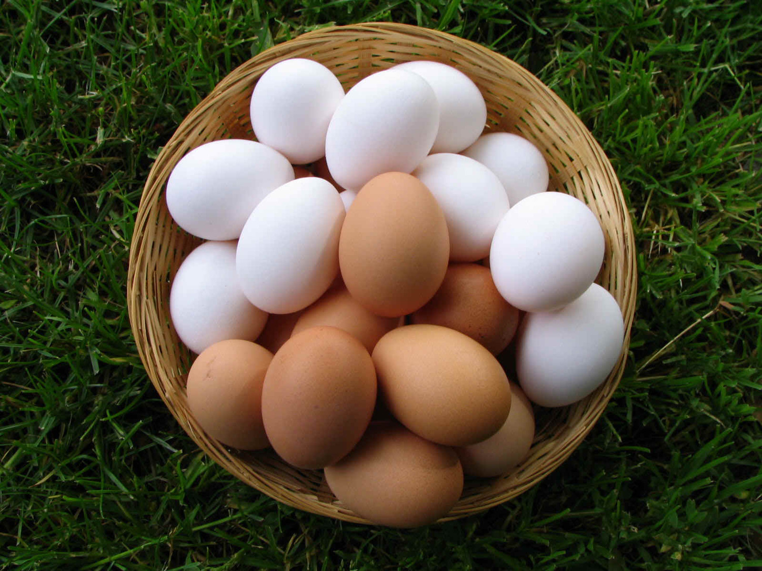 «Д», «СВ», «СО» и другие категории яиц: в чем разница и как выбрать