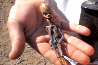 Ученые раскрыли загадку скелета «инопланетянина» из Атакамы