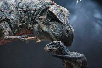 Правда ли, что тираннозавры не могли видеть неподвижные объекты