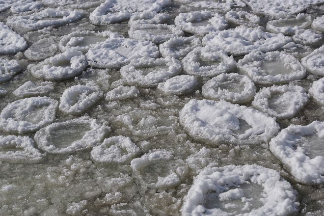 Волна холода покрыла канадское озеро Оканаган ледяными блинами