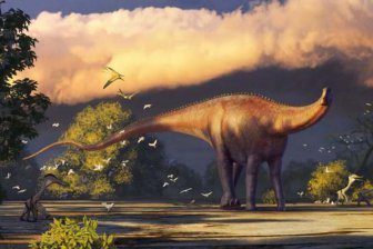 Огромный динозавр из Узбекистана оказался двоюродным братом диплодока