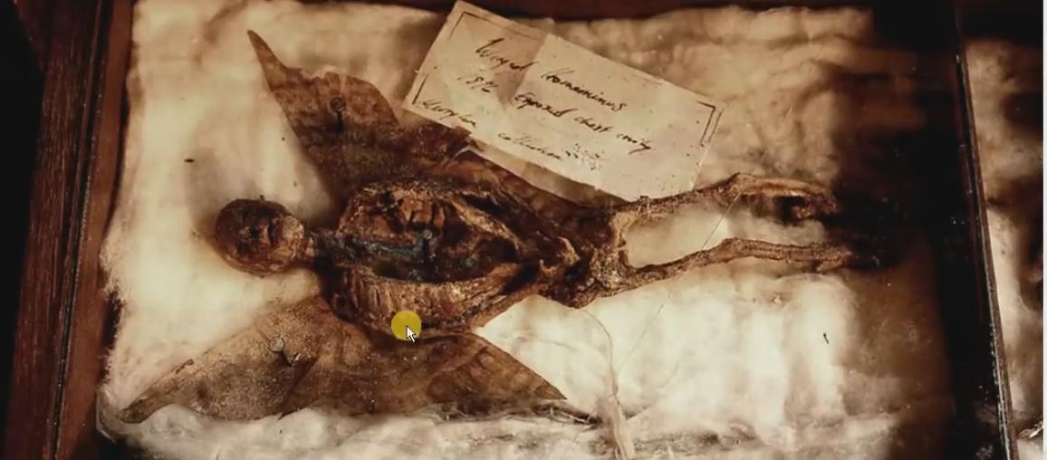 Тысячи мумий не земных существ нашли в подвале Лондонского особняка под снос