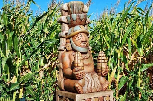 Кукуруза – дар богов?