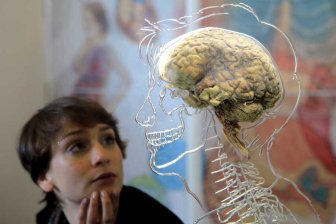 Дело не в интеллекте — обнаружено неожиданное предназначение мозга