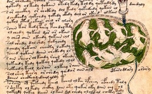 Рукопись Войнича: самый загадочный текст в истории