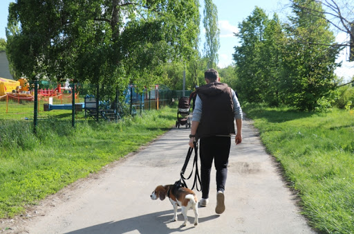 В РФ нетрезвым гражданам планируют запретить выгуливать собак