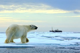 Последняя ледяная зона Земли признала уязвимой к климатическим изменениям