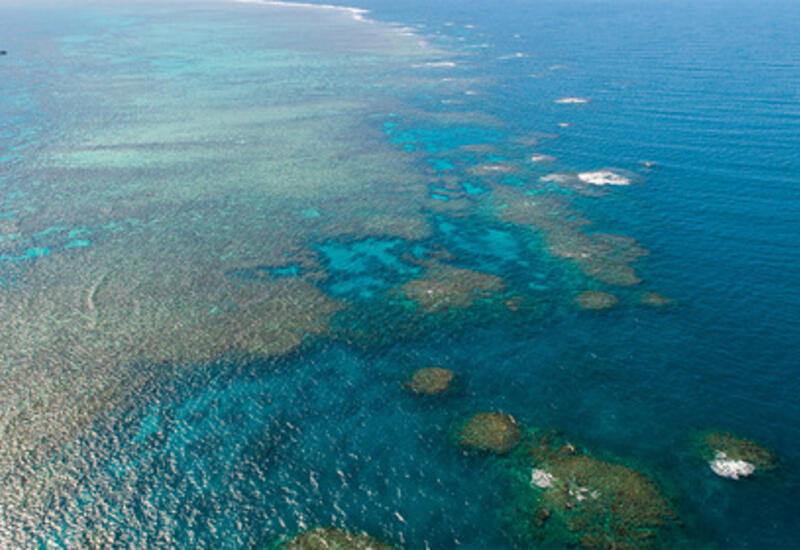 Китай заподозрили в угрозе крупнейшему коралловому рифу