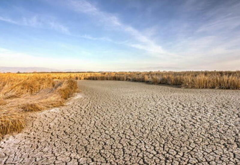 Сильная засуха охватила юг Казахстана