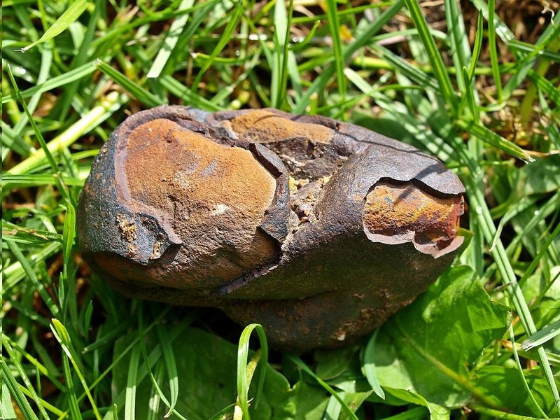 Признаки того, что вы нашли метеорит