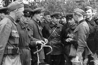 21 июля 1941 года едва не состоялась вторая встреча Гудериана и Кривошеина.