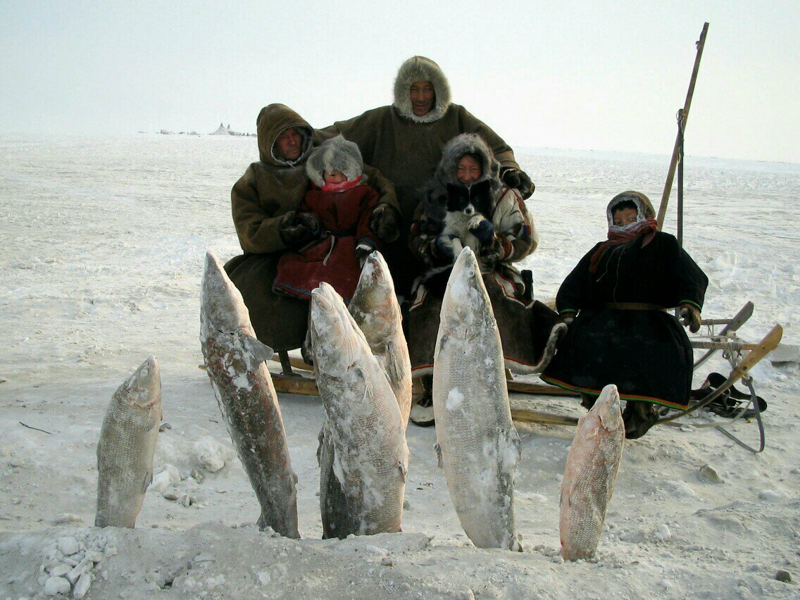 Рыболовство на севере. Вот что значит 