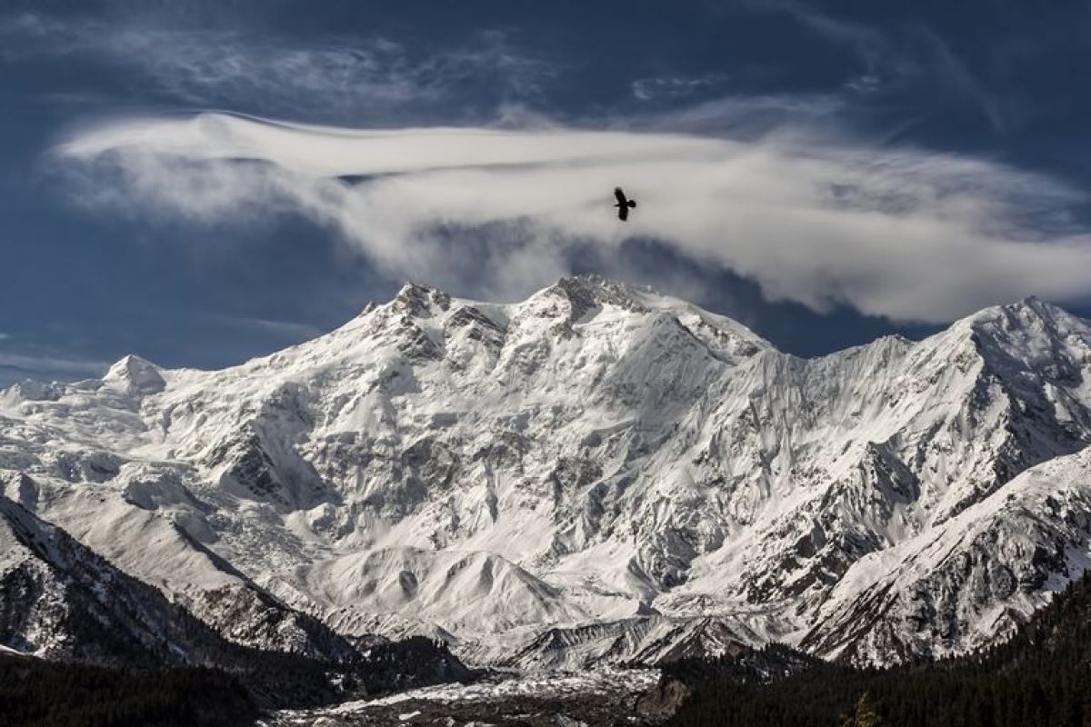 В ледниках Тибетского нагорья обнаружили десятки новых вирусов возрастом до 15 тысяч лет