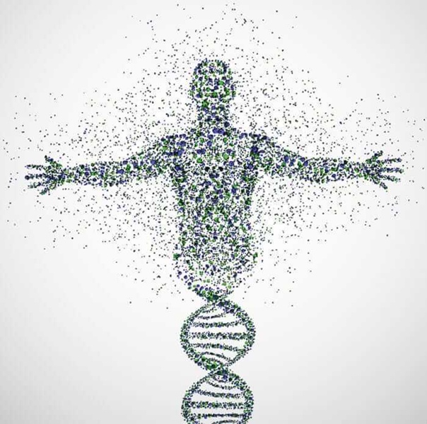 ДНК - это квантовый биокомпьютер