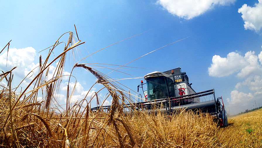 Россия проделала огромный путь, став крупнейшим экспортером зерна
