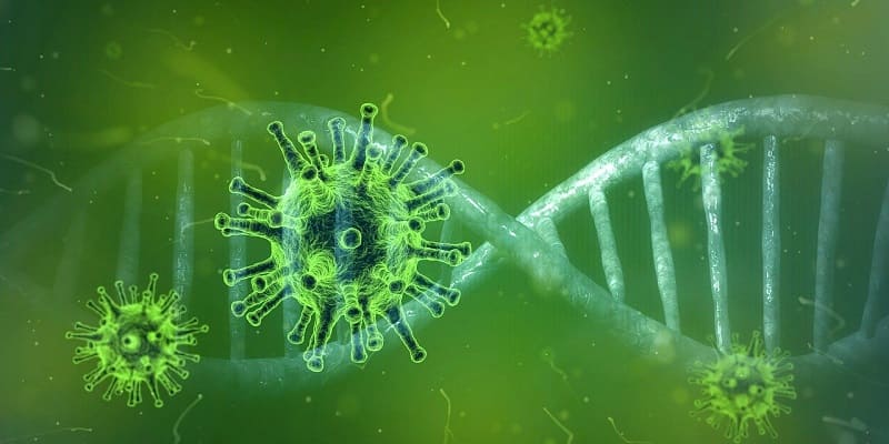 Коронавирус закрепился в ДНК