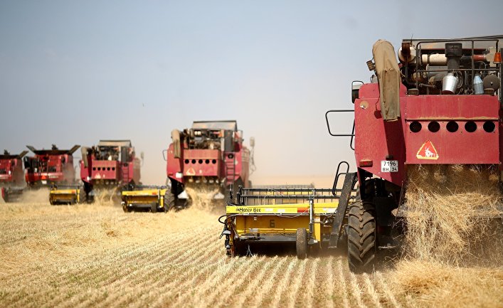 Financial Times (Великобритания): Россия начинает сеять семена «пшеничной дипломатии»