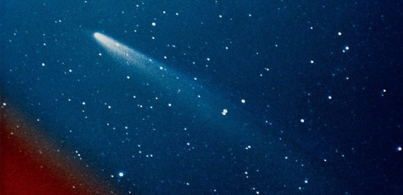 Астрономы рассказали, насколько яркой будет комета Леонарда в декабре 2021 года