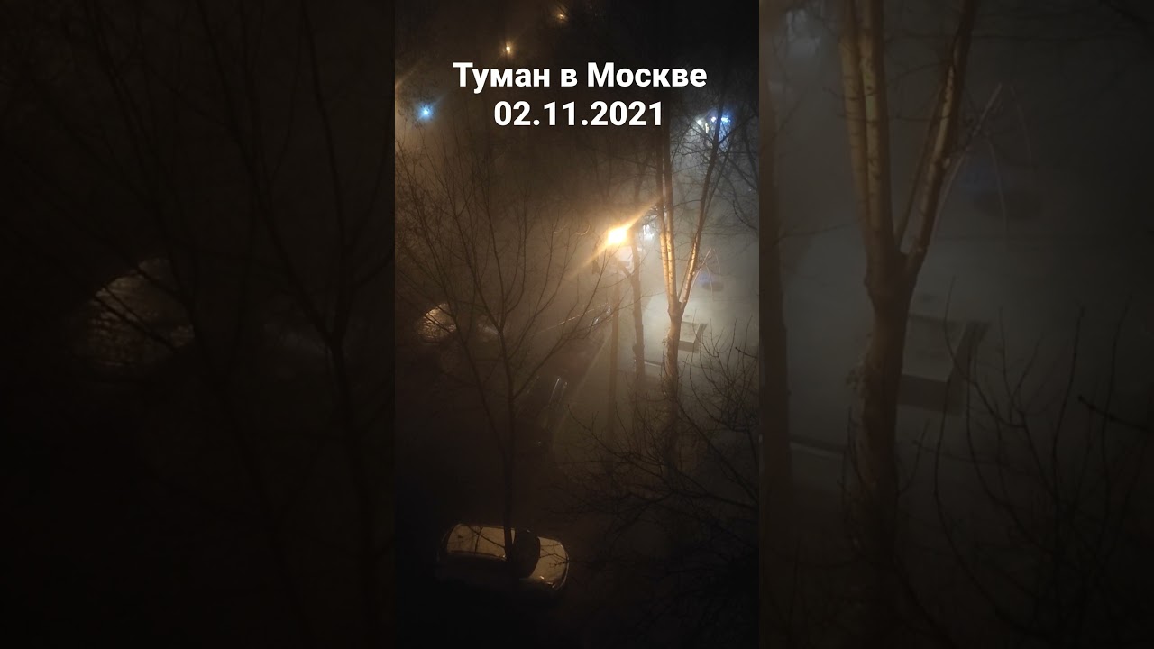 Что вызвало такой необычный туман над Москвой?