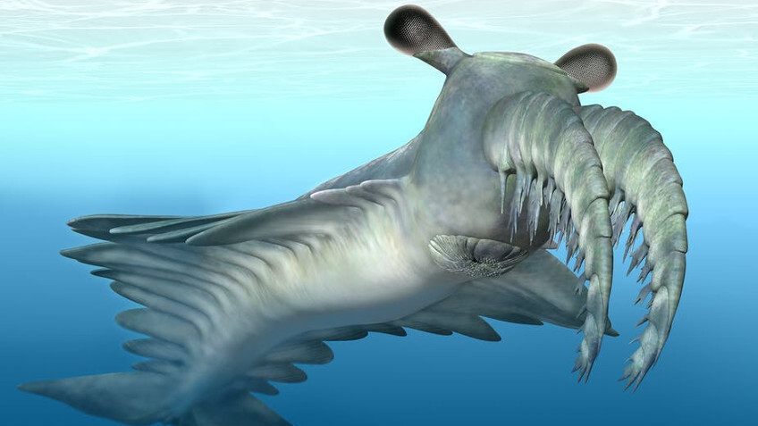 Ученые раскрыли особенности неизвестного доисторического чудовища