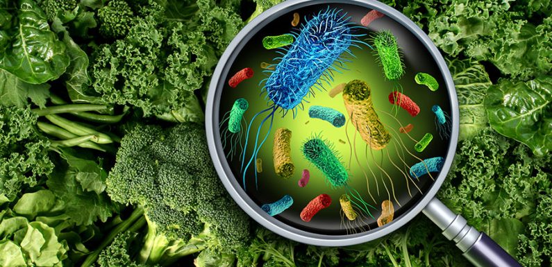 как бактерии становятся устойчивыми к лекарствам