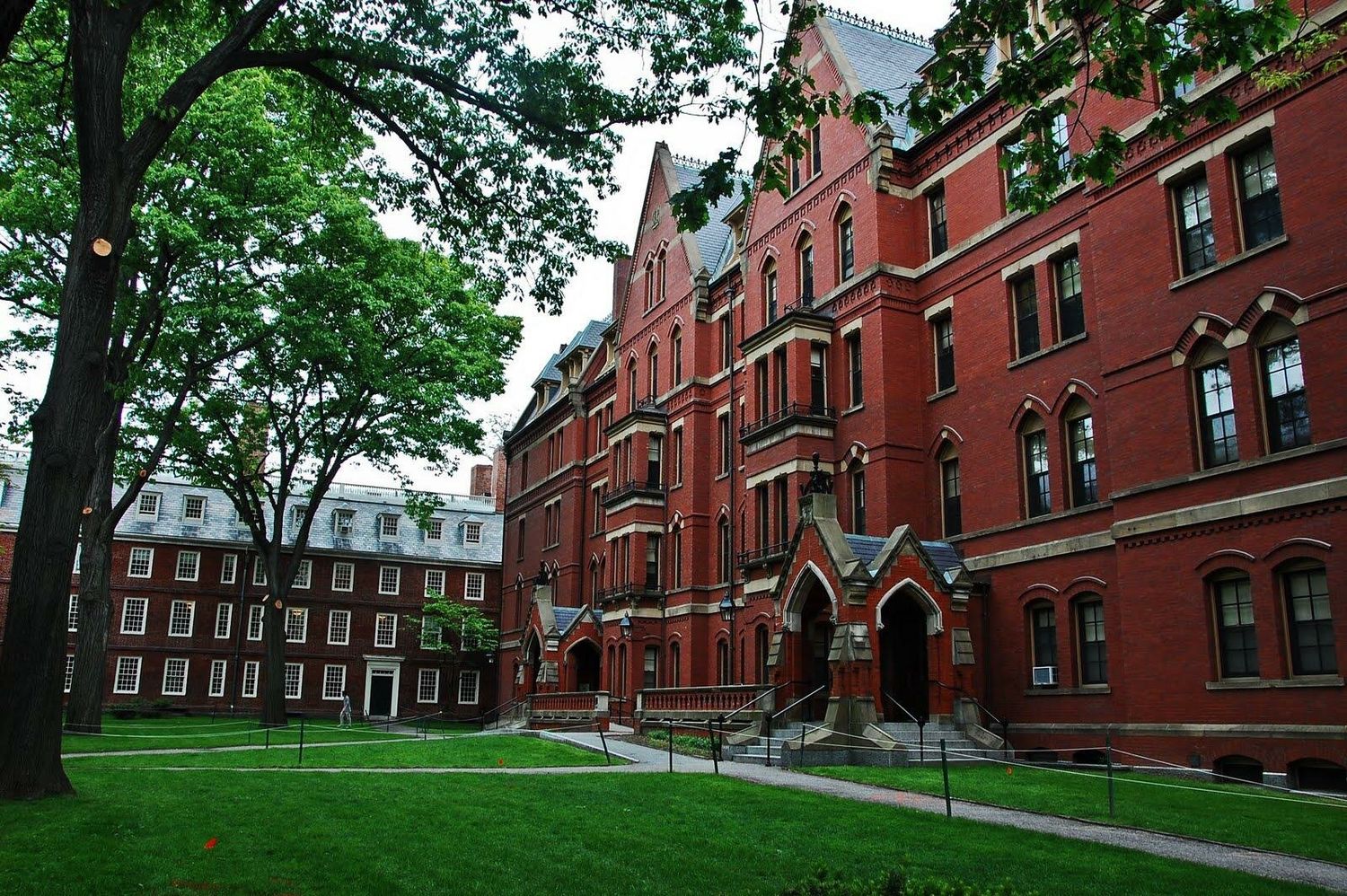 Что хорошего в Гарварде, Оксфорде и Кембридже? Почему они считаются лучшими университетами мира?