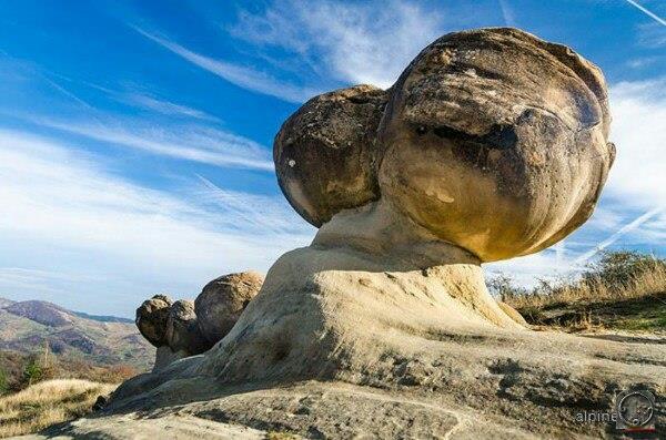 Трованты — живые камни, которые растут и размножаются