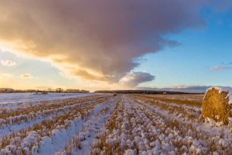 Через 50 лет в России появятся огромные территории, пригодные для сельского хозяйства
