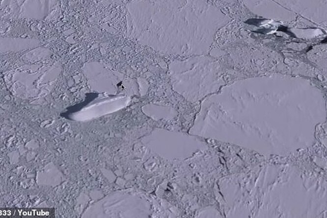 Ледяная глыба на карте Google: откуда в Антарктиде взялся загадочный «корабль»