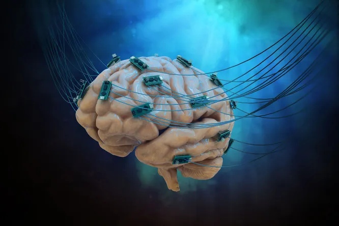 Глубокая стимуляция мозга: кто и зачем вживляет чипы в мозг человека