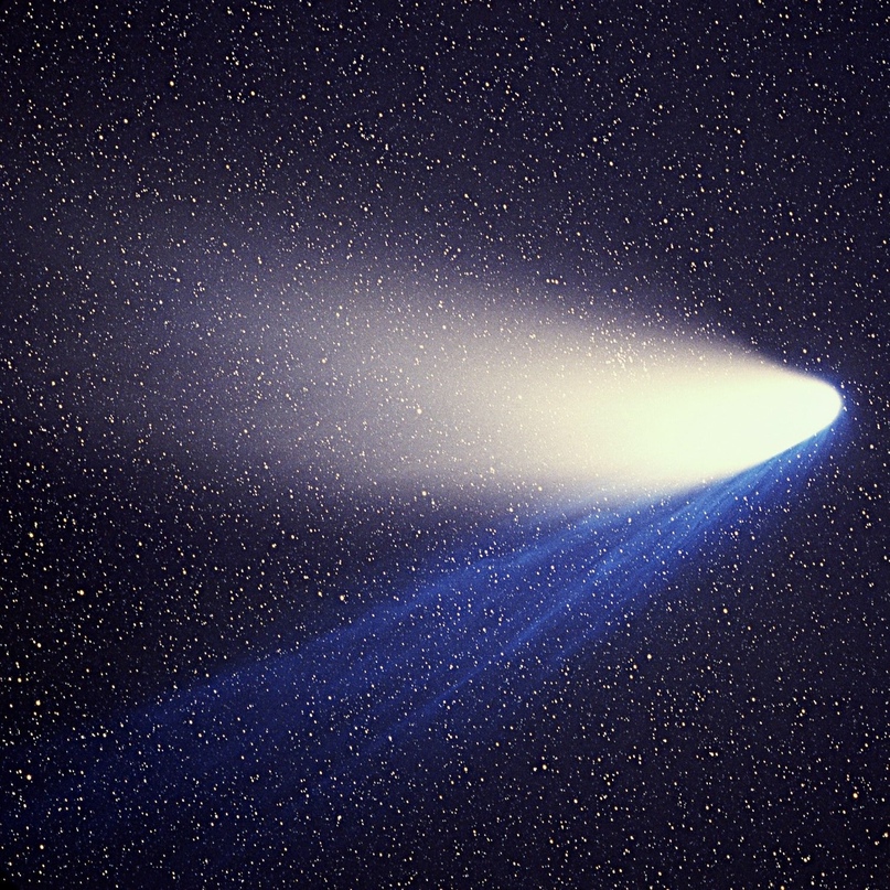Посмотрите вверх: факты, загадки и домыслы о кометах
