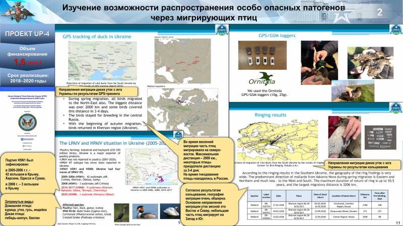 Минобороны РФ представило данные о проектах UP-4, P-781 и других экспериментах с опасными патогенами в биолабораториях США на Украине