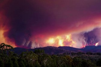 Дым от лесных пожаров может вызвать глобальные климатические изменения