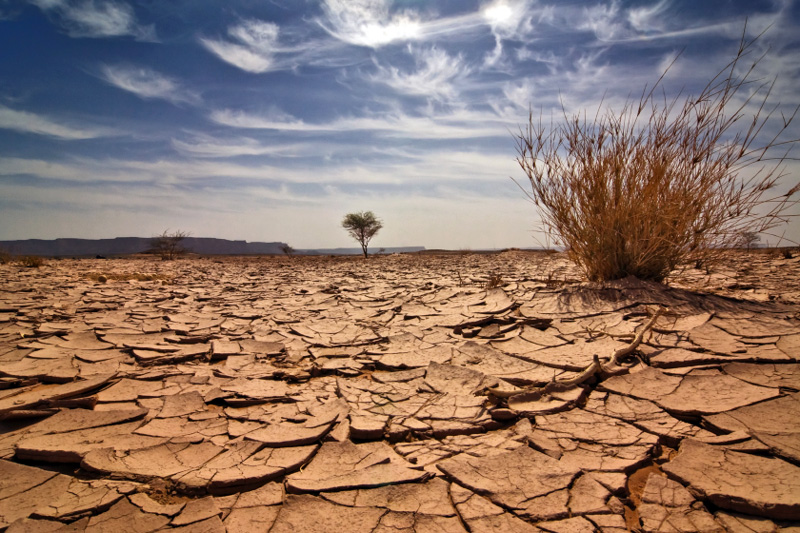 Засуха оставила без воды миллионы человек в Южной Америке