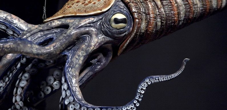 древний предок кальмара-вампира с десятью функциональными щупальцами