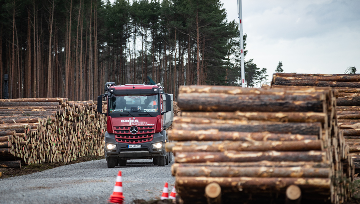 Компании Илона Маска разрешили вырубить лес для строительства завода