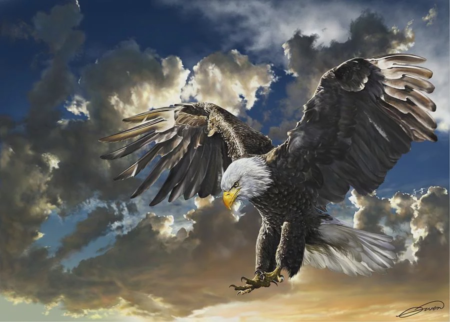 Почему именно белоголовый орлан — символ США?