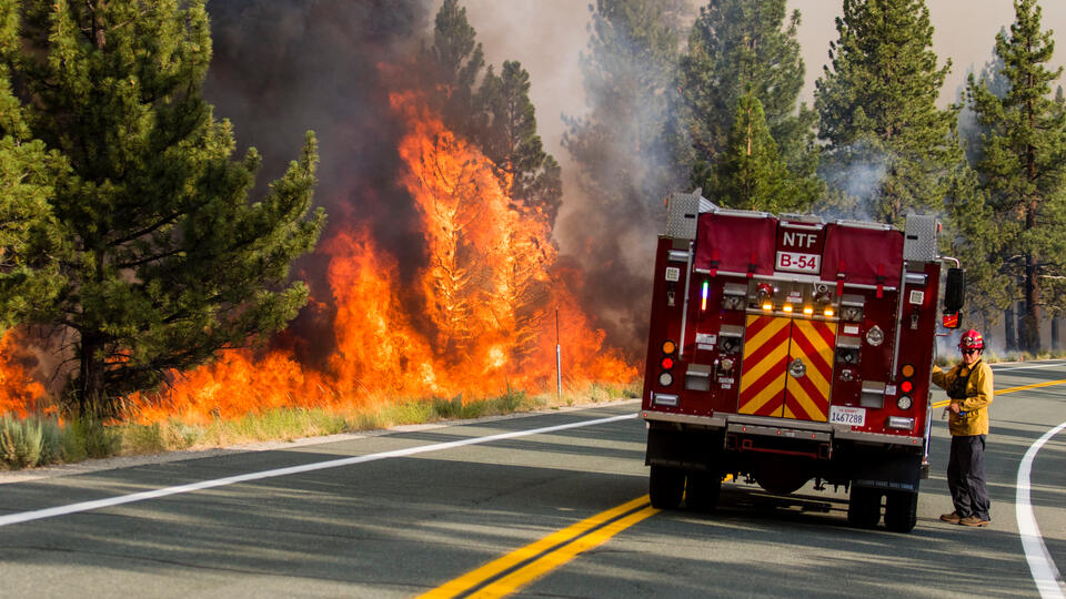 Неконтролируемые лесные пожары вспыхнули на западе и юге США