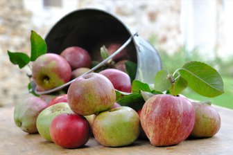 употребление в пищу яблок приносит большую пользу