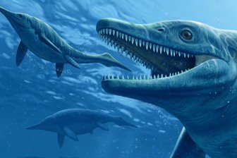 В Альпах обнаружен огромный ихтиозавр, один из крупнейших животных когда-либо существовавших
