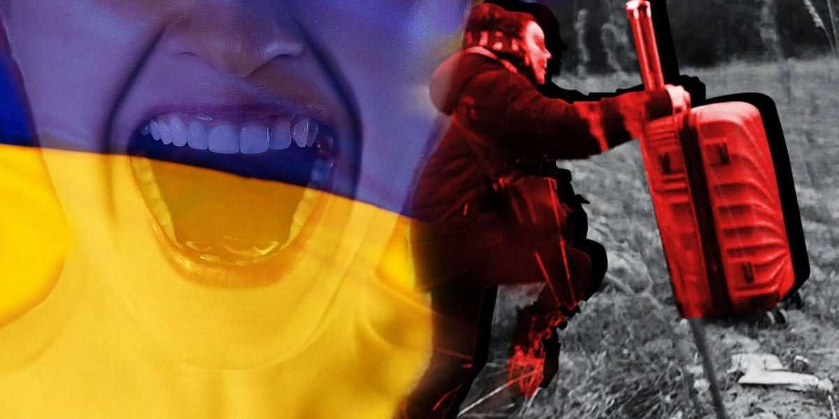 «Достали весь мир»: украинка в приказном тоне потребовала сменить желто-синий пол в больнице РФ