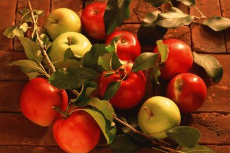 главные преимущества яблок для здоровья всего организма