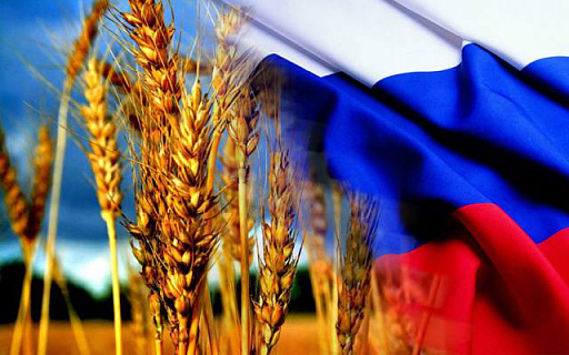 Более 50 стран критично зависят от экспорта пшеницы из России и Украины