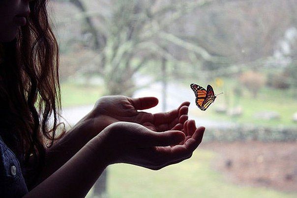 Душа в виде бабочки