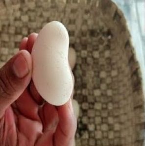 В Индии курица несет странные яйца в форме кешью