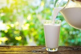 Эксперты из Гарварда определили оптимальный объем молока на каждый день