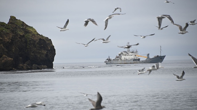 Япония продолжит консультации с РФ по поводу промысла морских живых ресурсов