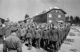 Сколько пленных немцев решили остаться в СССР после освобождения и зачем?