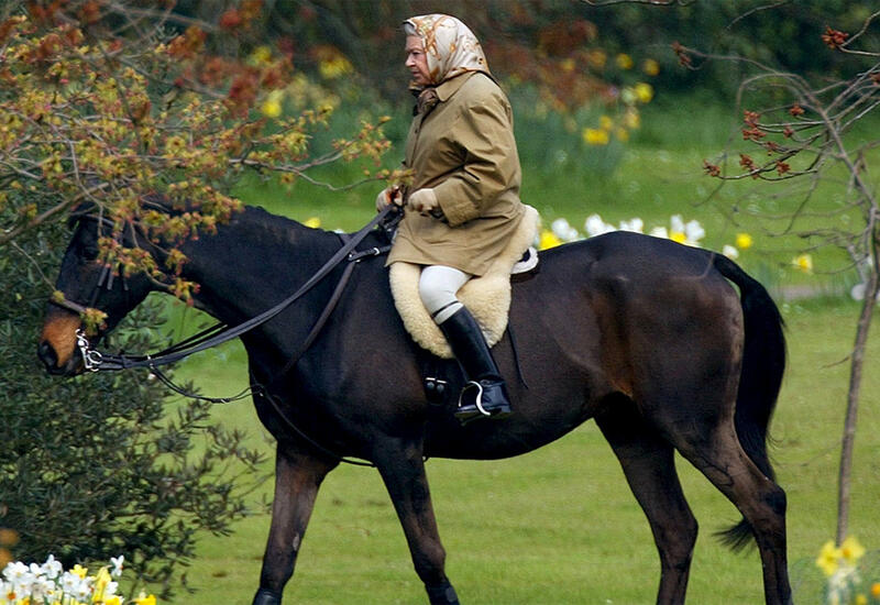 Елизавета II отказалась от трости и снова ездит верхом на лошади