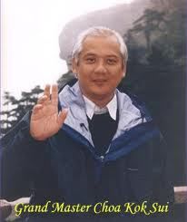 Мастер Чоа Кок Суи. Божественное целительство